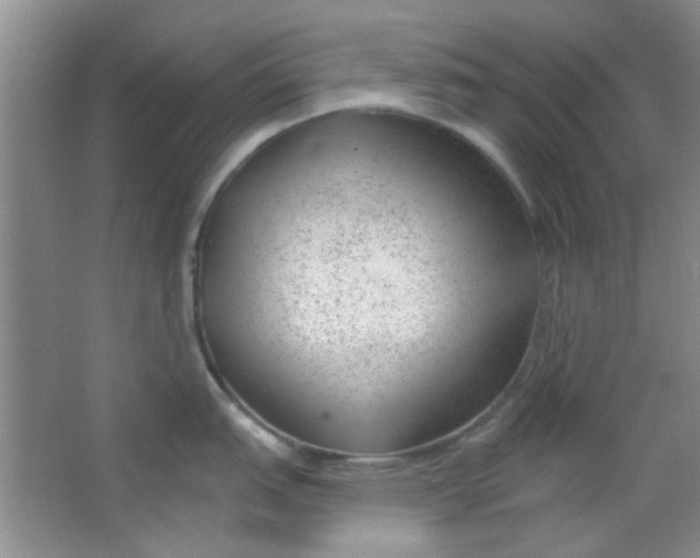 X0000063491151200602101826