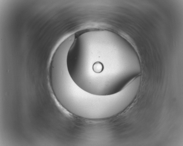 X0000063491152200602101826