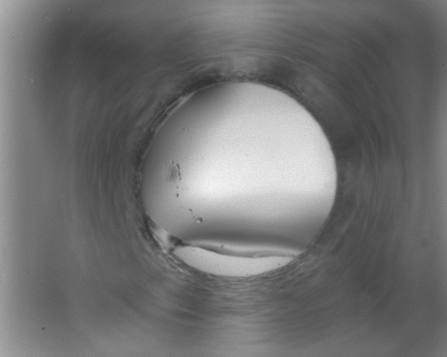 X0000063491153200602101826