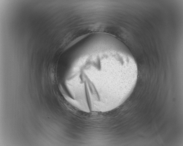 X0000063491154200602101826