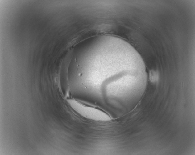 X0000063491155200602101826