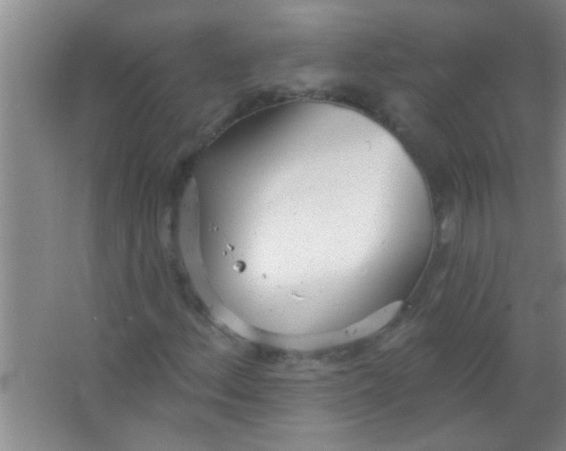 X0000063491156200602101826