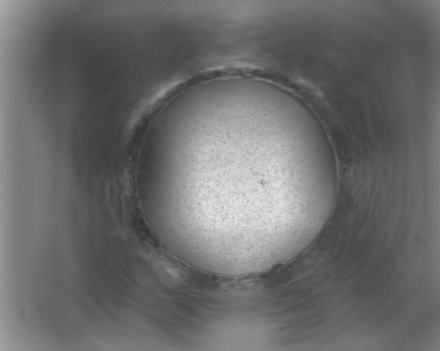 X0000063491159200602101825