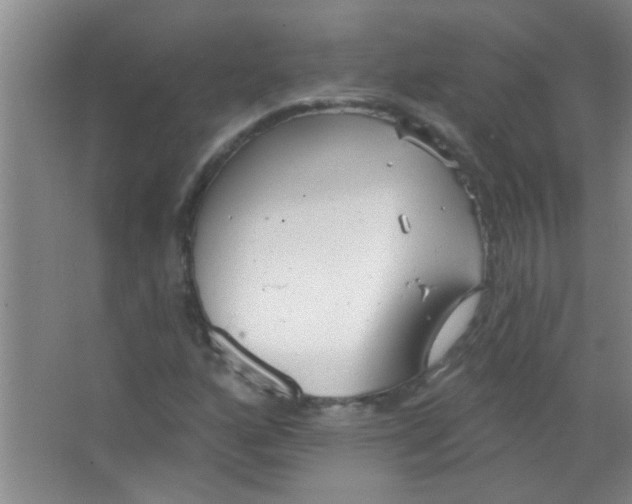 X0000063491160200602101825