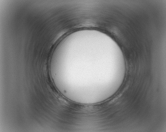 X0000063491162200602101825