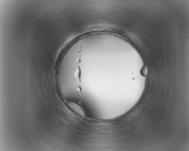 X0000063491164200602101825