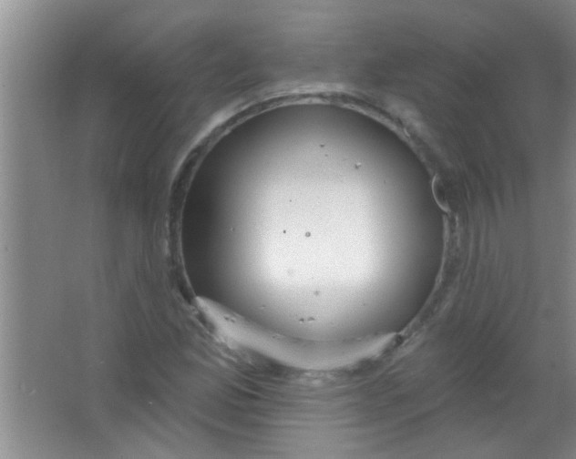 X0000063491165200602101825