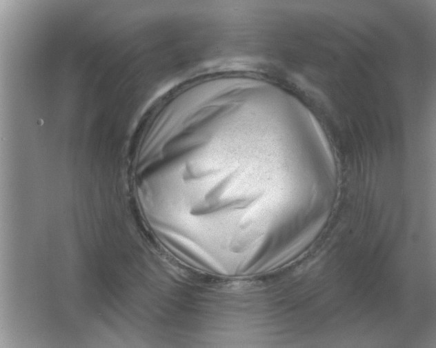 X0000063491166200602101825