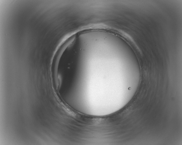 X0000063491176200602101825