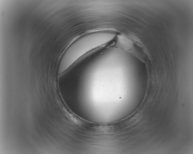 X0000063491177200602101825