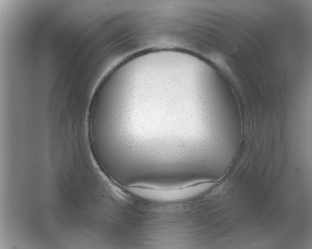 X0000063491183200602101825