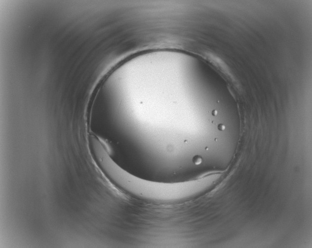 X0000063491184200602101825