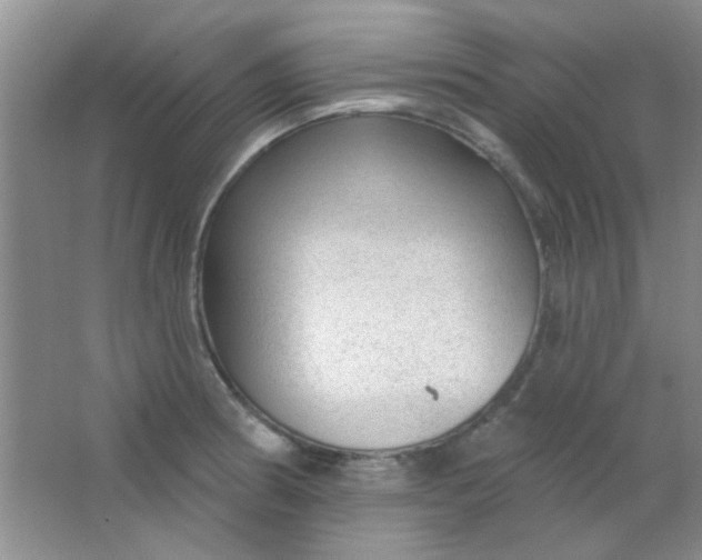 X0000063491186200602101825