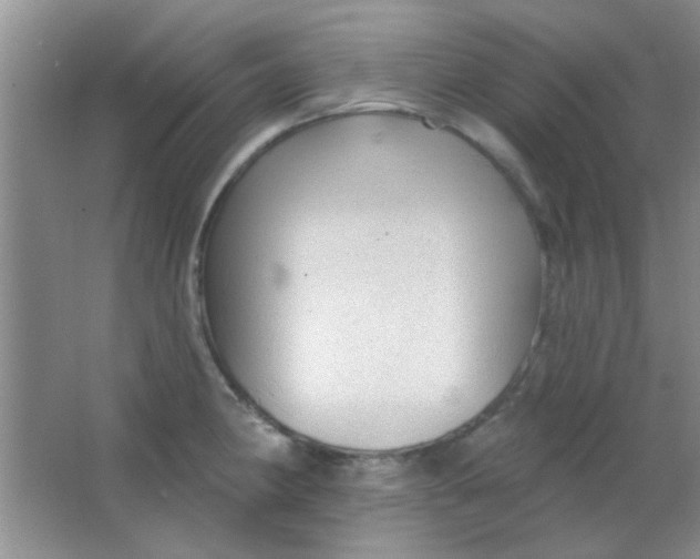 X0000063491190200602101825