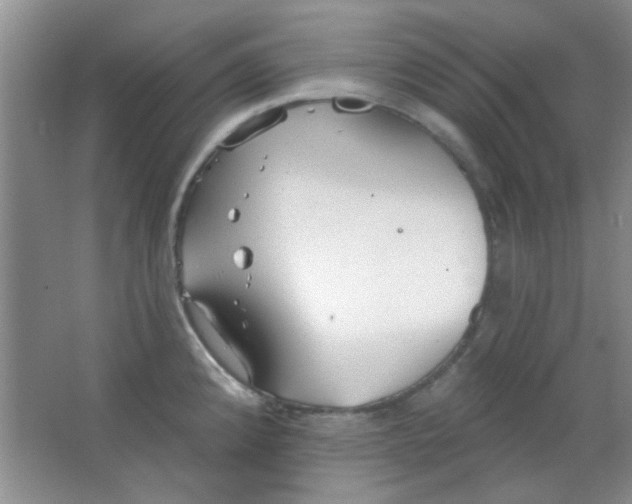 X0000063491192200602101825