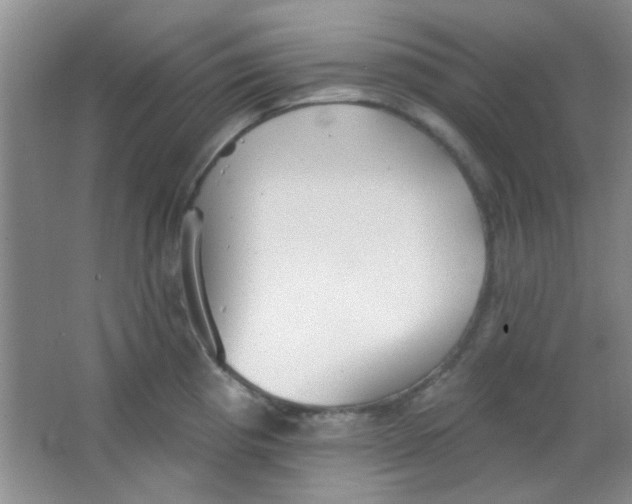 X0000063491193200602101825