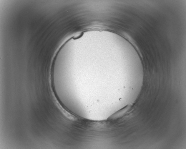 X0000063491195200602101825