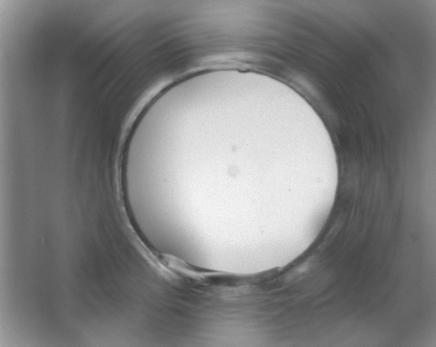 X0000063491196200602101825