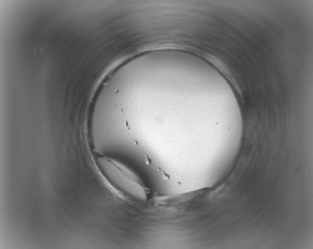 X0000063491197200602101825