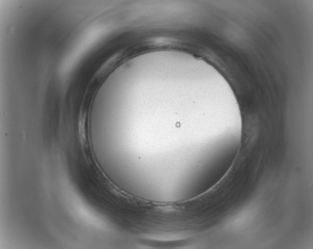 X0000063491199200602101825