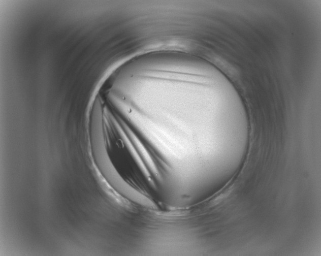 X0000063491200200602101825