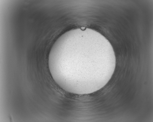 X0000063491201200602101824