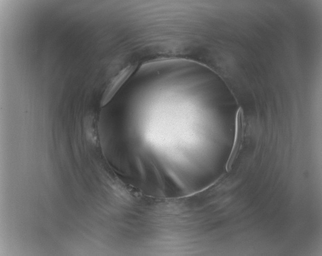 X0000063491202200602101824