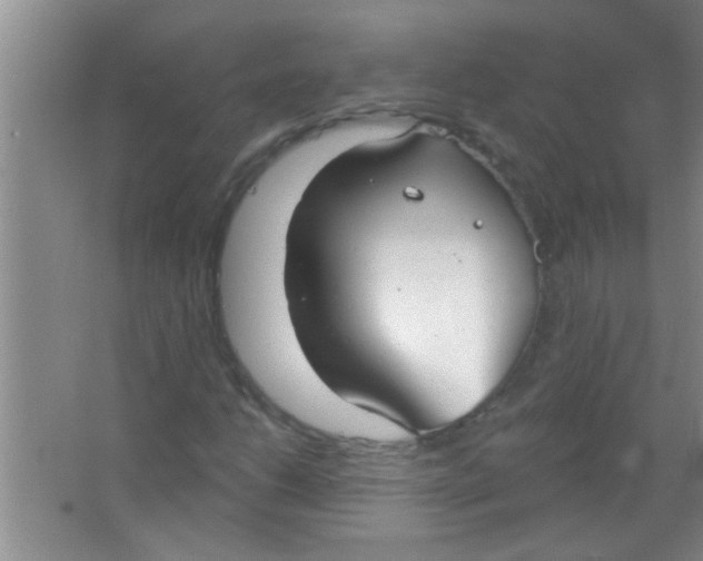 X0000063491206200602101824