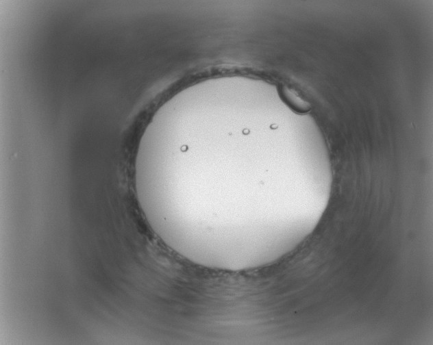 X0000063491207200602101824