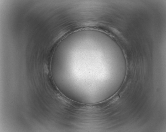 X0000063491209200602101824