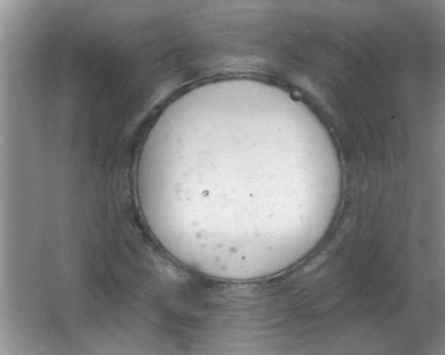 X0000063491211200602101824