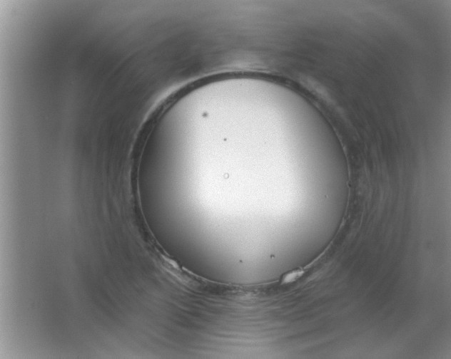 X0000063491222200602101824