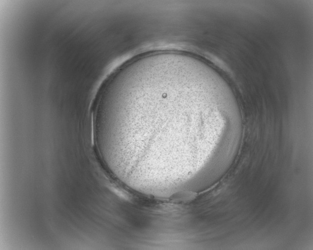 X0000063491223200602101824