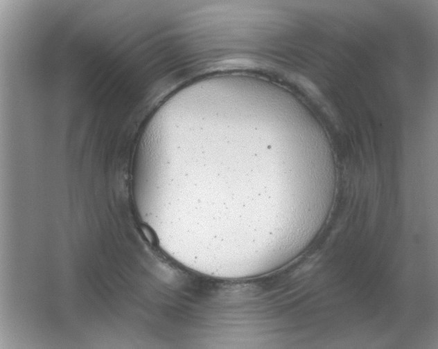 X0000063491225200602101824