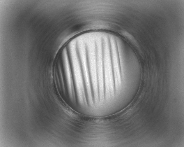 X0000063491226200602101824