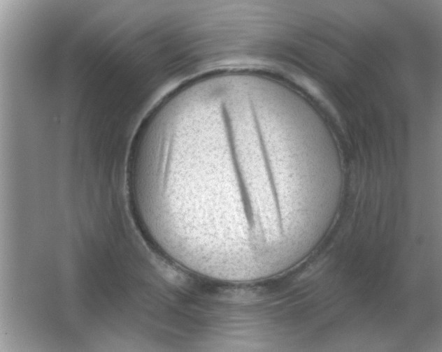 X0000063491229200602101824