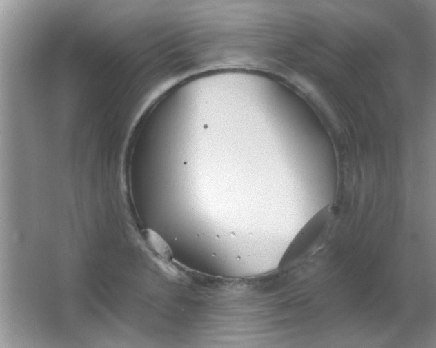 X0000063491230200602101824