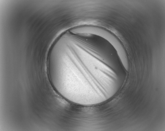 X0000063491232200602101824