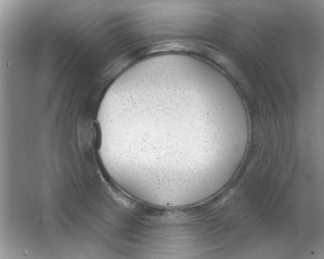 X0000063491233200602101825