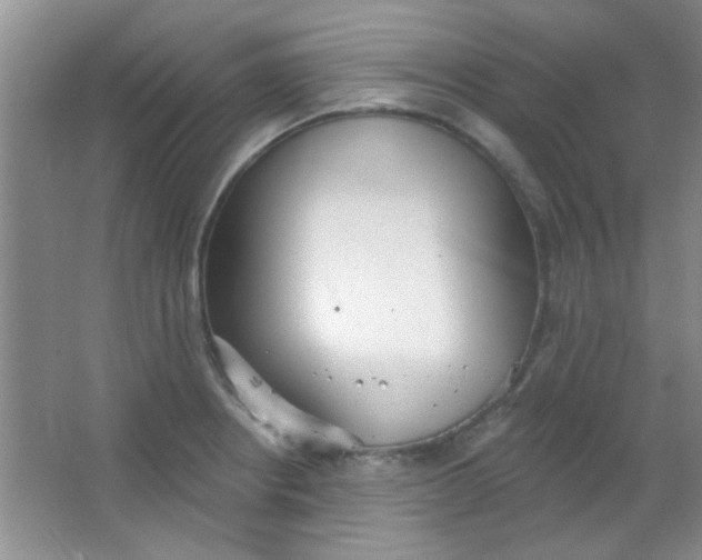 X0000063491234200602101825