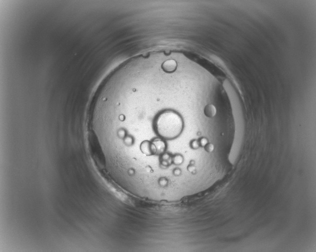 X0000063491235200602101825