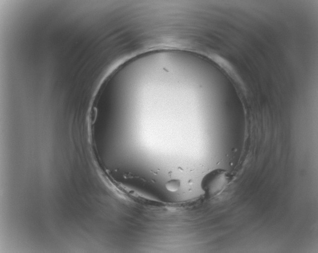 X0000063491238200602101825