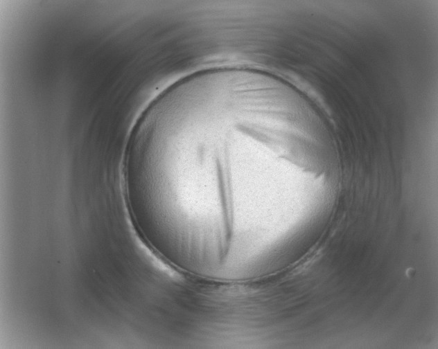 X0000063491239200602101825