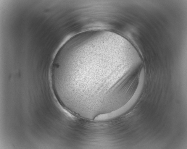 X0000063491243200602101825