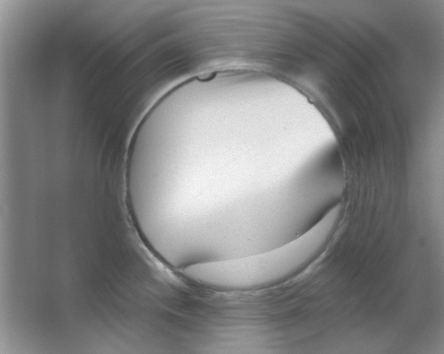 X0000063491244200602101825