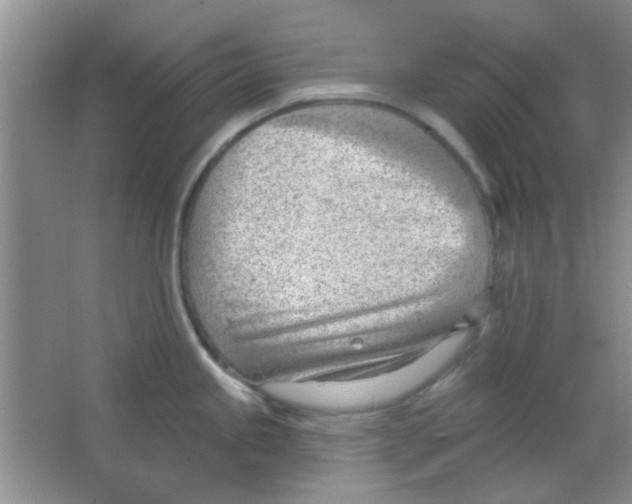 X0000063491245200602101825