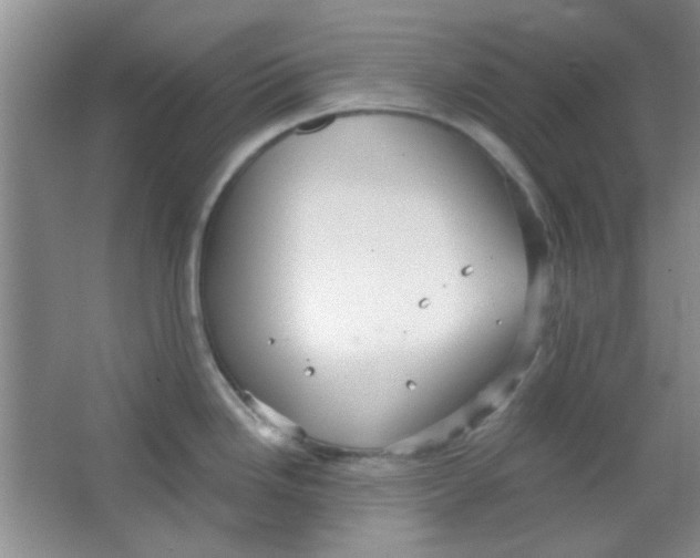 X0000063491246200602101825