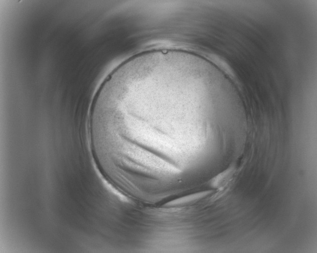 X0000063491247200602101825