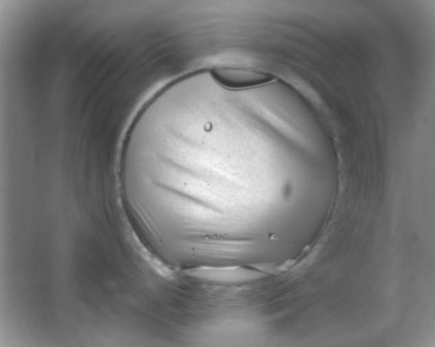 X0000063491248200602101825