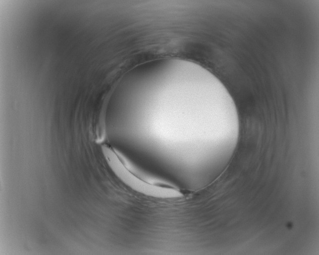 X0000063491250200602101824